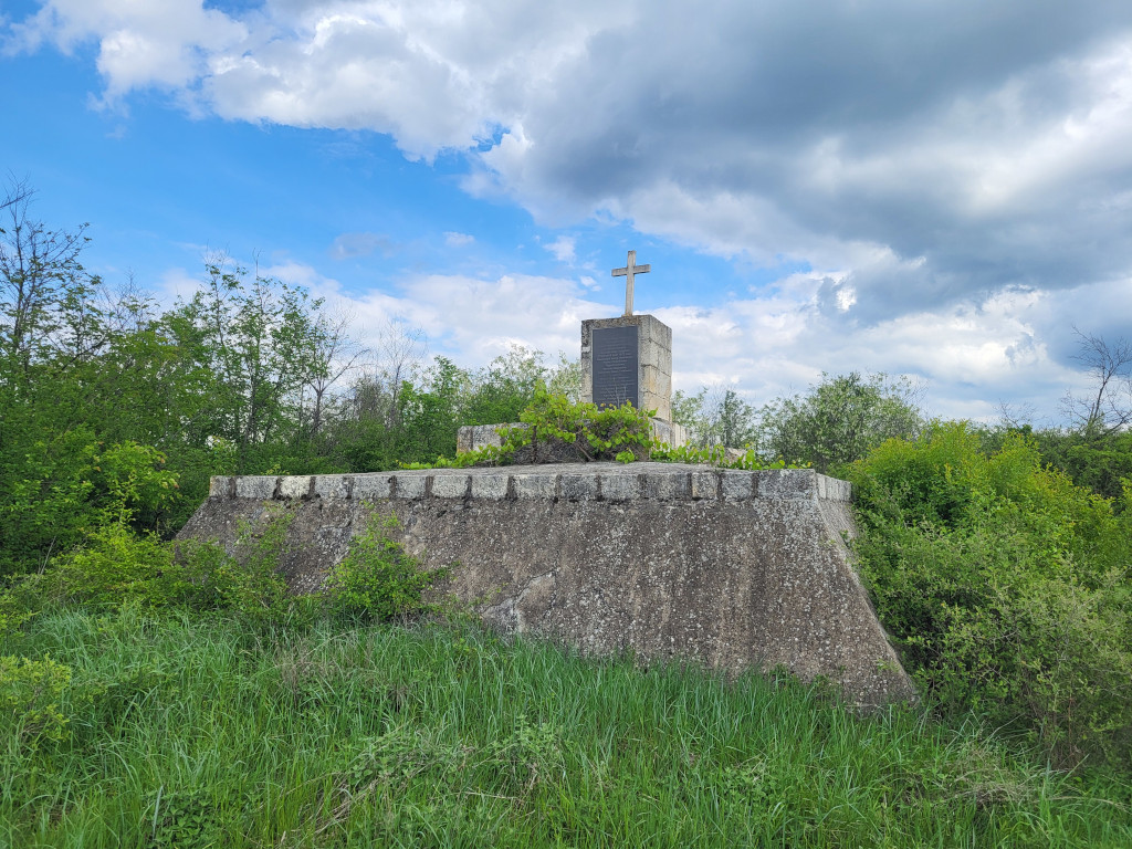 Первый штурм Плевны
